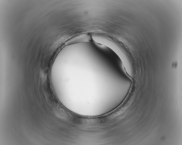 X0000091101257200709041316