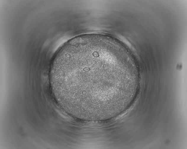 X0000091101259200709041316