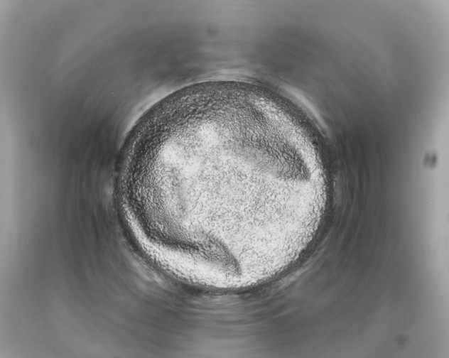 X0000091101260200709041316