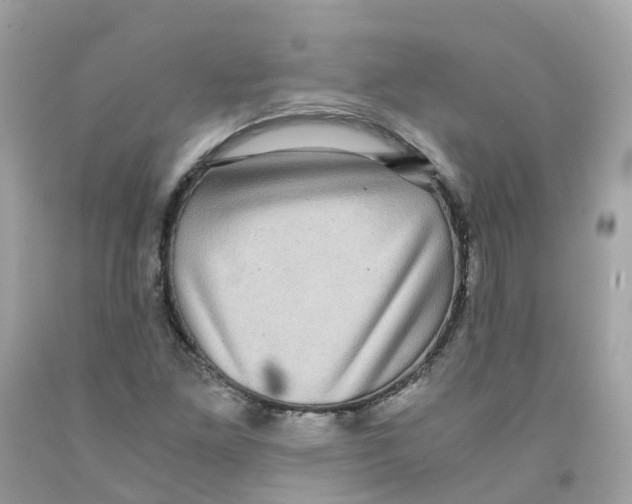 X0000091101261200709041316