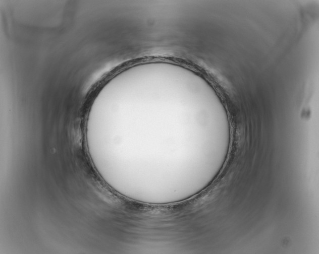 X0000091101262200709041316