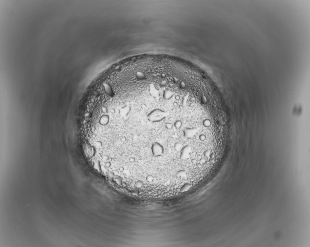 X0000091101263200709041316