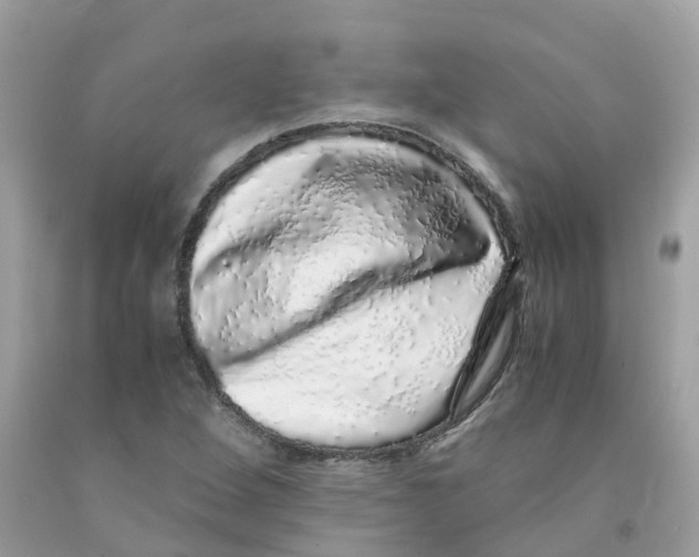 X0000091101264200709041316