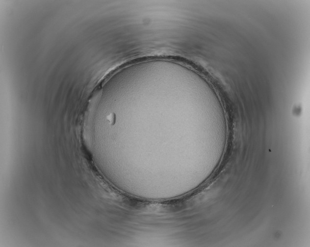 X0000091101265200709041316