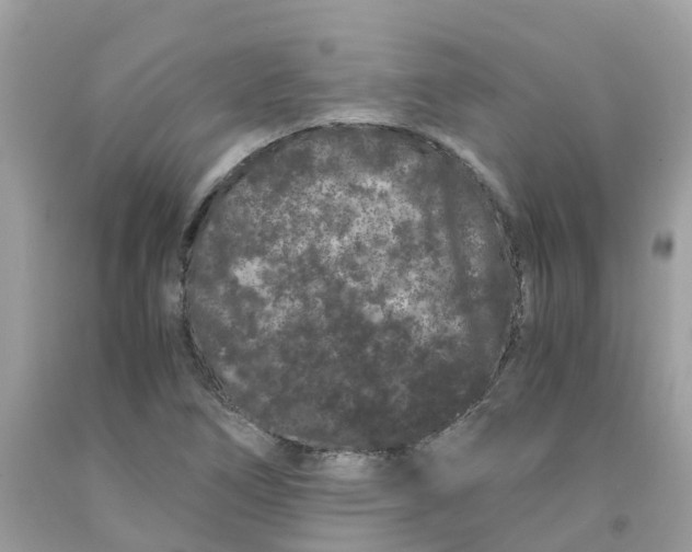 X0000091101266200709041316