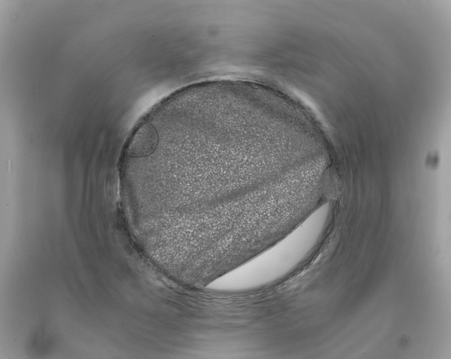 X0000091101267200709041315