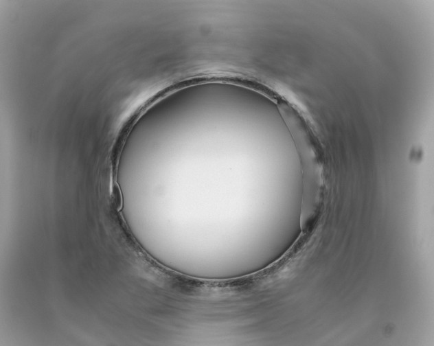 X0000091101269200709041315