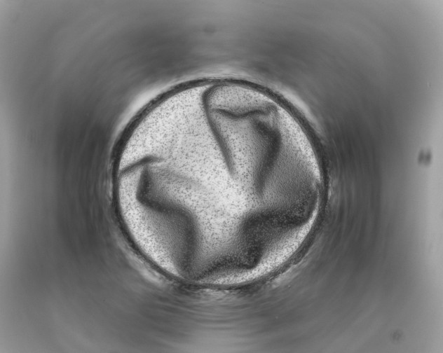 X0000091101270200709041315