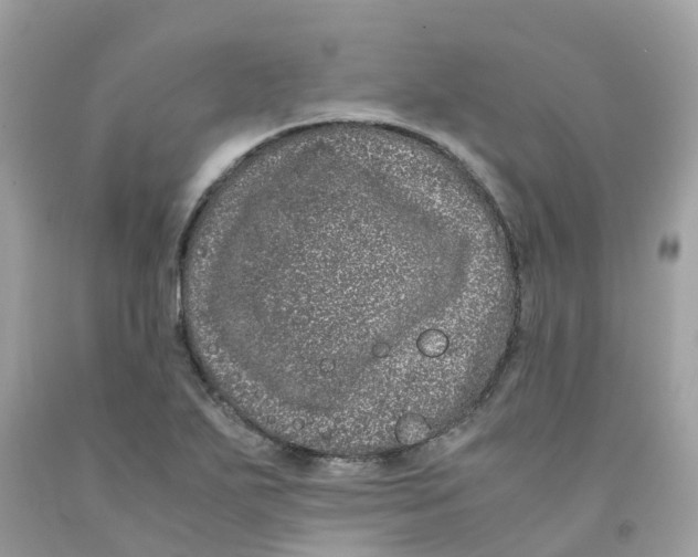 X0000091101271200709041315