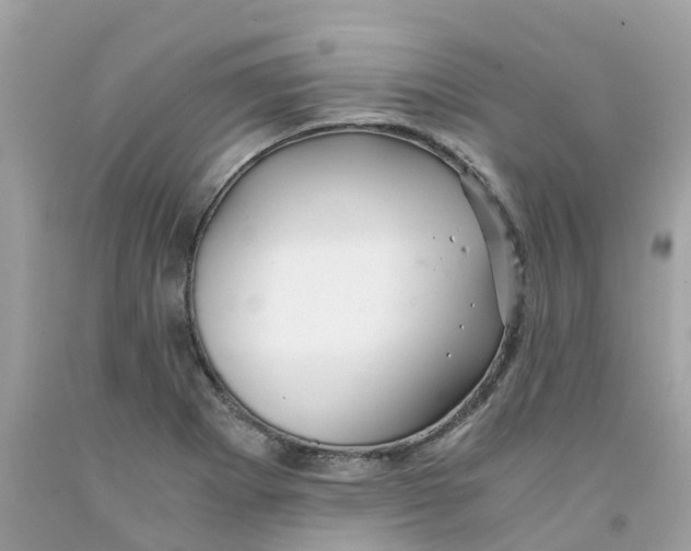 X0000091101273200709041315