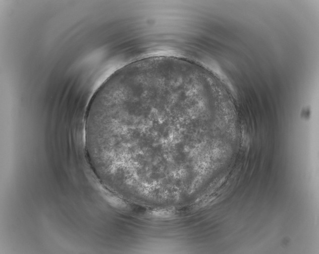 X0000091101274200709041315