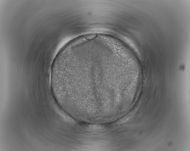 X0000091101275200709041315