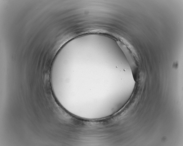 X0000091101281200709041315