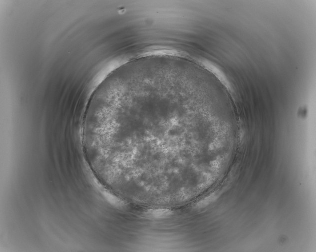 X0000091101282200709041315