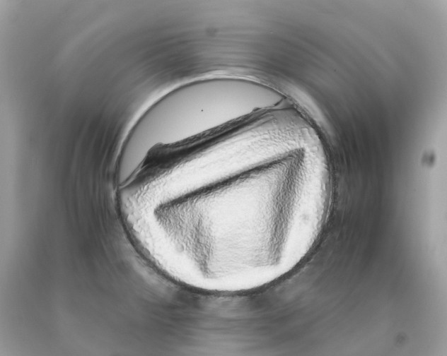 X0000091101284200709041315