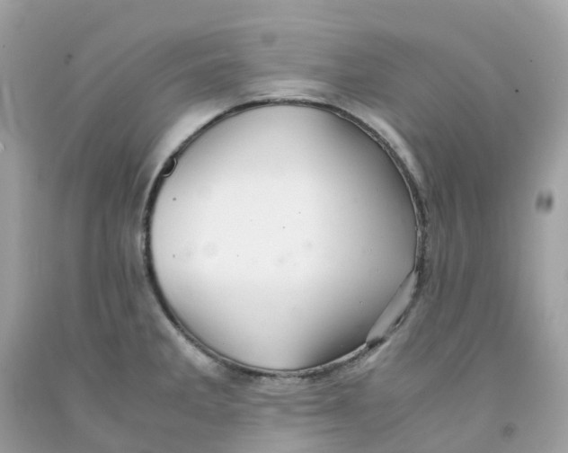 X0000091101285200709041315