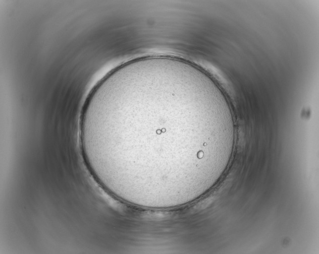 X0000091101286200709041315