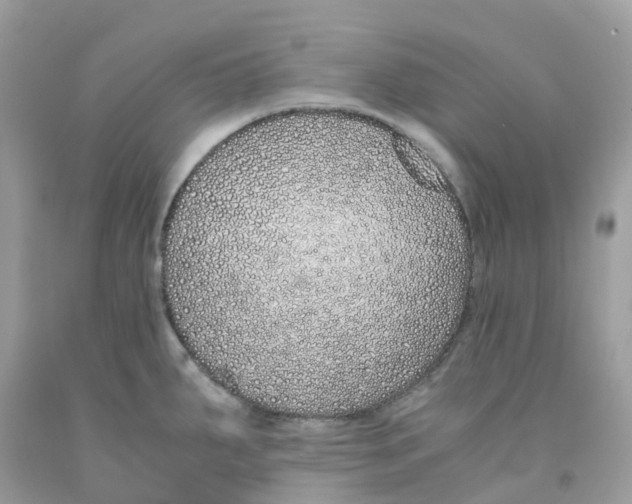 X0000091101287200709041315