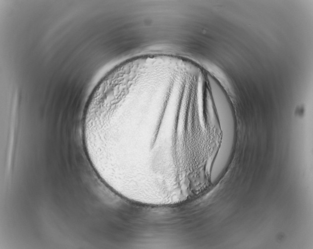 X0000091101288200709041315