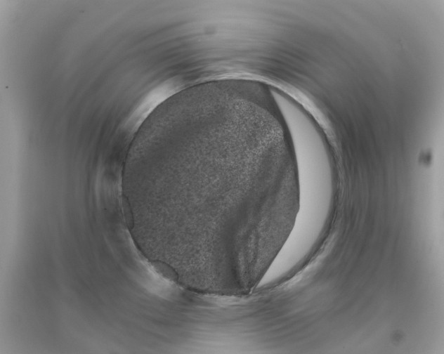 X0000091101289200709041315