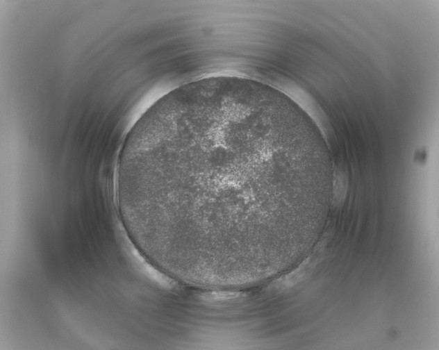 X0000091101290200709041315