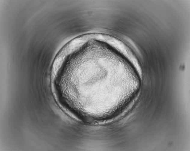 X0000091101292200709041315