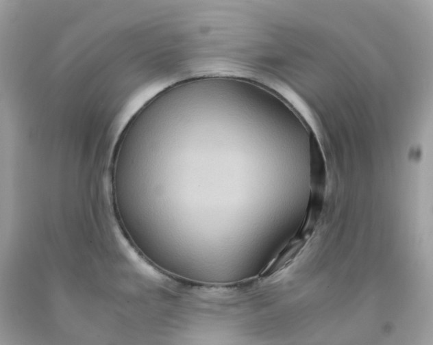 X0000091101293200709041315