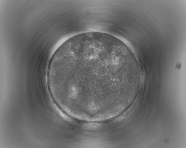 X0000091101294200709041315