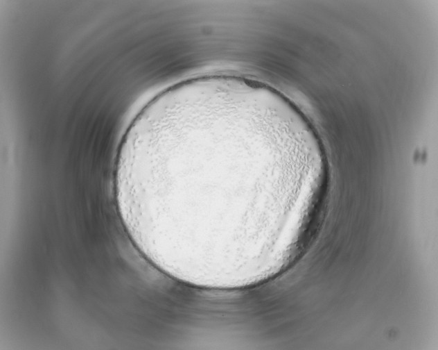 X0000091101296200709041315