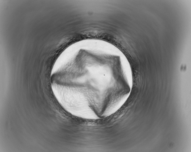 X0000091101297200709041315