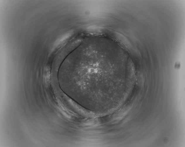 X0000091101298200709041315