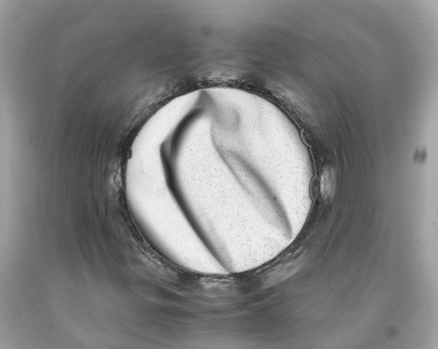 X0000091101299200709041315