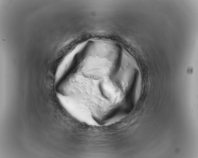 X0000091101301200709041315