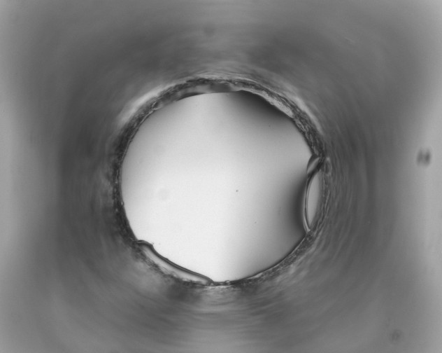 X0000091101304200709041315