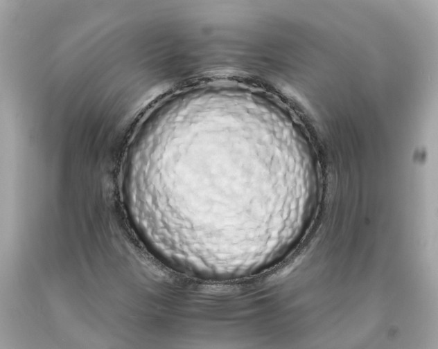 X0000091101305200709041315