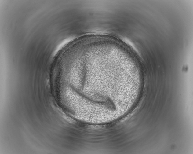 X0000091101307200709041315