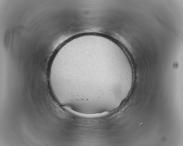 X0000091101308200709041315