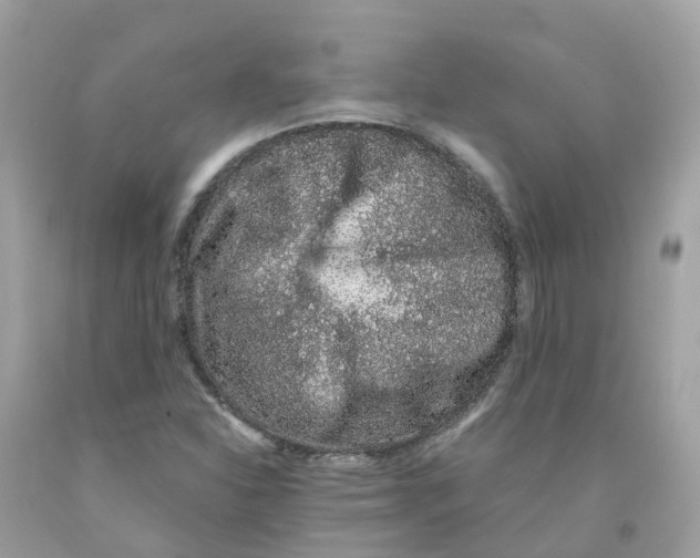 X0000091101310200709041315