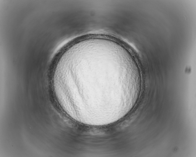 X0000091101311200709041315