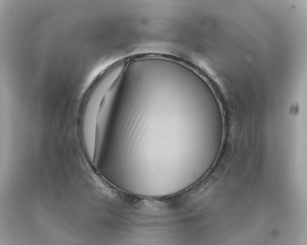 X0000091101312200709041315