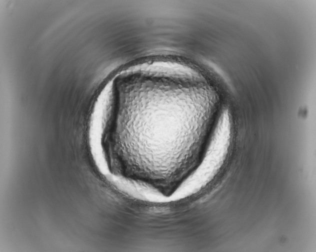 X0000091101313200709041315