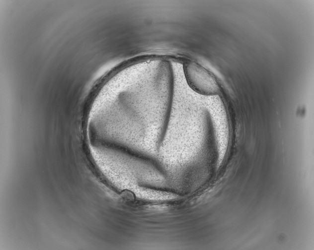 X0000091101315200709041315