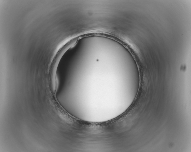 X0000091101316200709041315