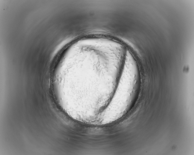 X0000091101317200709041315