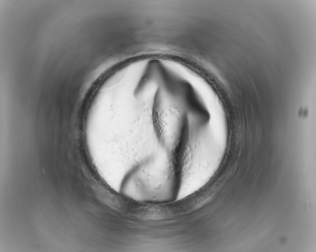 X0000091101318200709041315