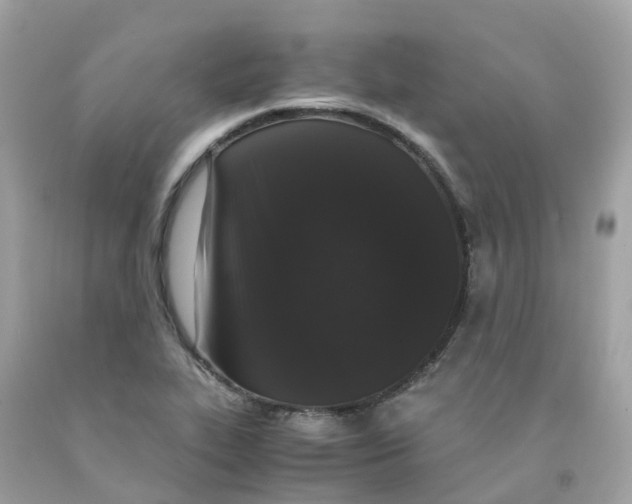 X0000091101319200709041315