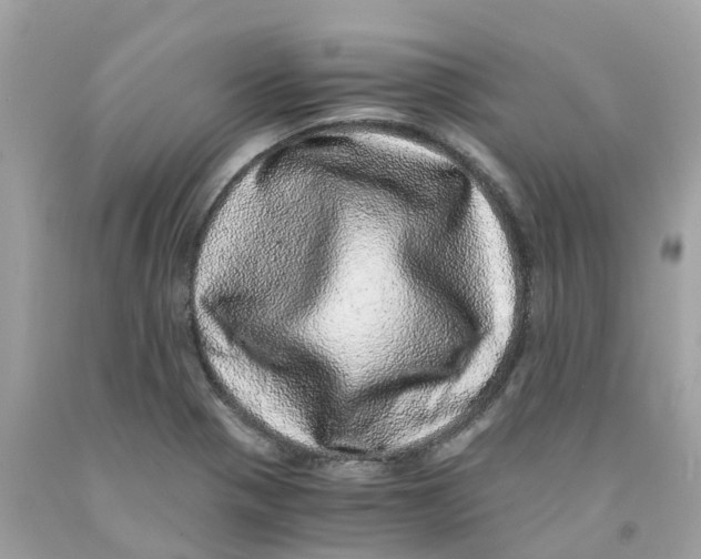 X0000091101321200709041315