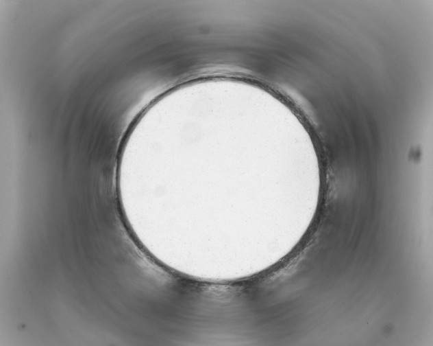 X0000091101322200709041315