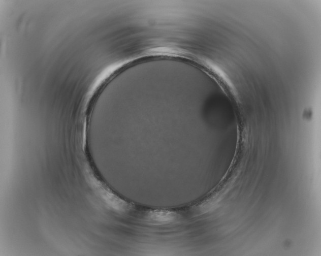 X0000091101323200709041315