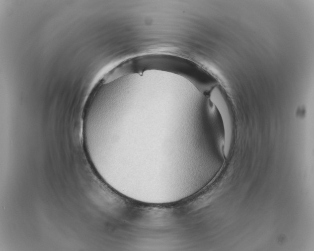 X0000091101324200709041315